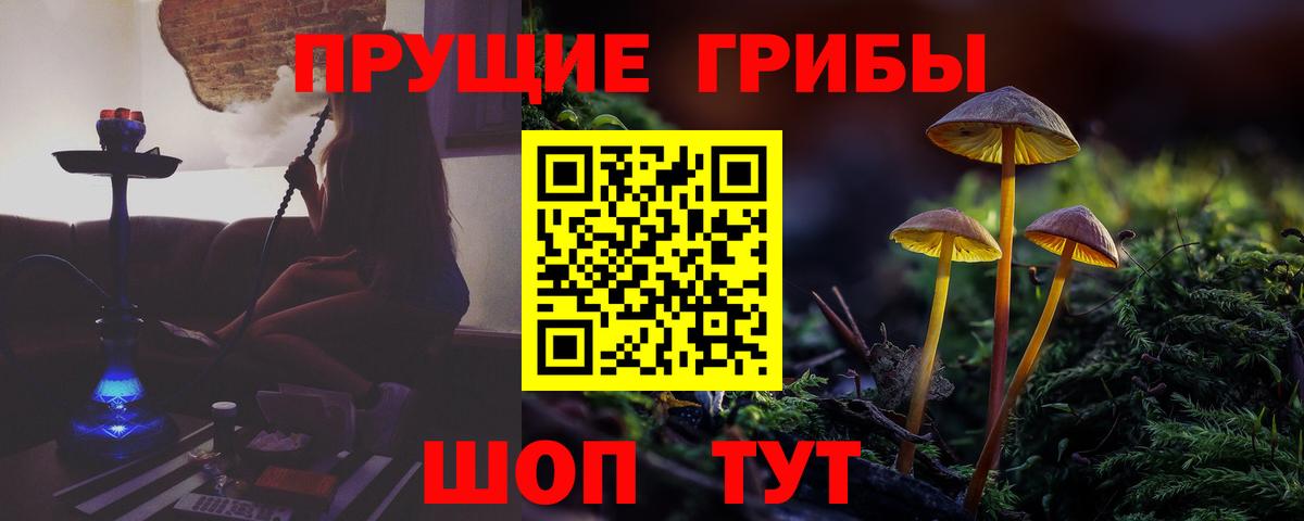Псилоцибиновые грибы Cubensis Качканар