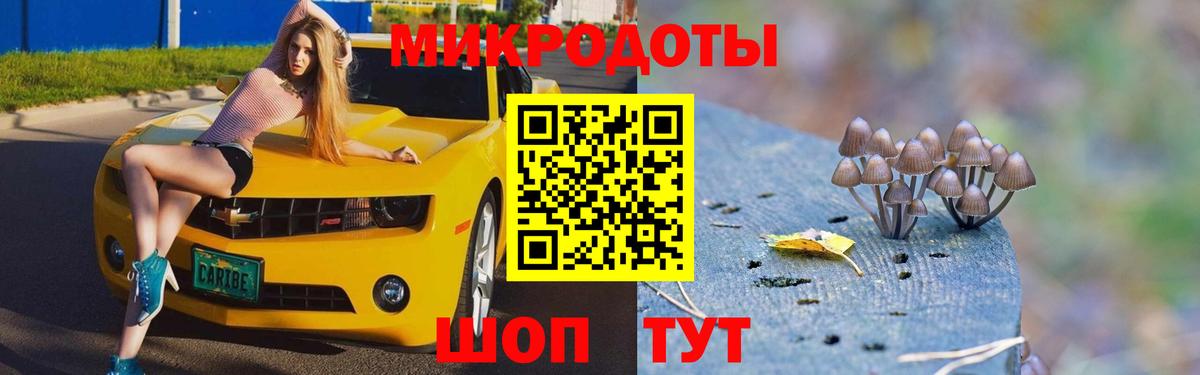 Галлюциногенные грибы Cubensis  Вход с VPN  Галлюциногенные грибы ЛСД  Качканар 